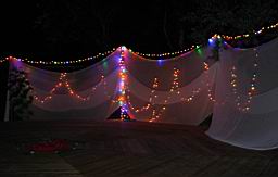 IMG_1193.jpg