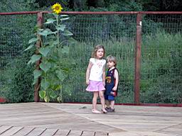 IMG_0685.jpg