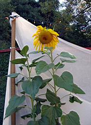IMG_0883.jpg