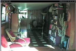 catcam1a.jpg