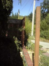 Imageb06.jpg