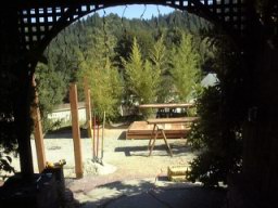 Imageb07.jpg
