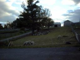 Image26.jpg
