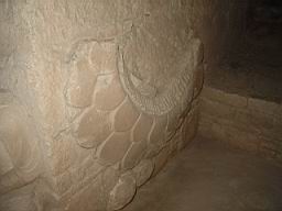 DSC01804.JPG