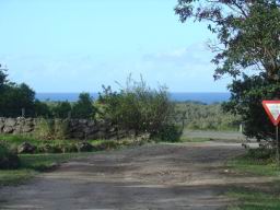 DSC05185.JPG