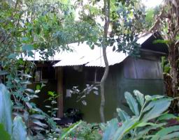DSC05213.JPG