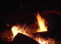 DSC04015.JPG