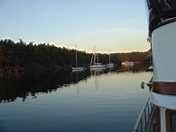 DSC06827.JPG