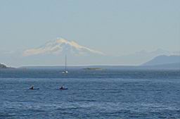 DSC06851.JPG