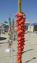 DSC00004.JPG