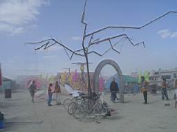 DSC09667.JPG