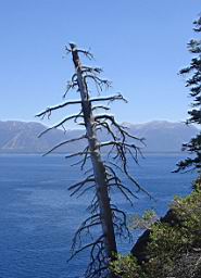 DSC09901.JPG