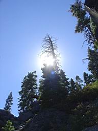DSC09902.JPG