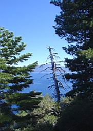 DSC09903.JPG