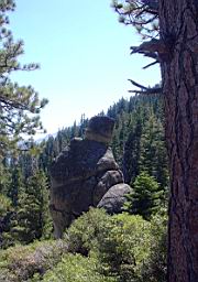 DSC09942.JPG