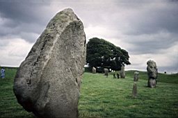 aveburystones.jpg