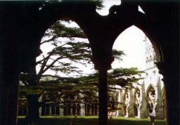 81-salisburycloister.jpg